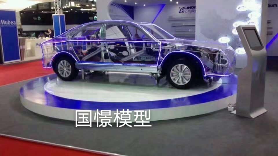 唐县透明车模型